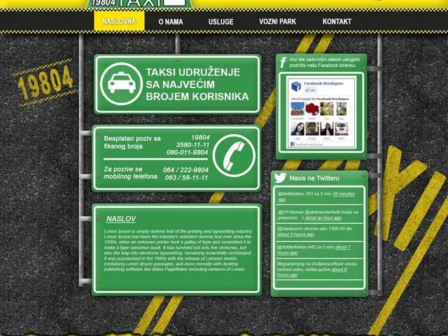 NaxiS Taxi, Branding mockup